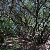 Review photo of First Landing State Park Campground by Janet R., May 25, 2025