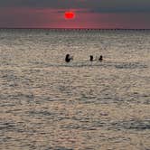 Review photo of First Landing State Park Campground by Maybe I., June 4, 2026