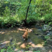 Review photo of Holliday Lake State Park Campground by Jen T., August 16, 2024