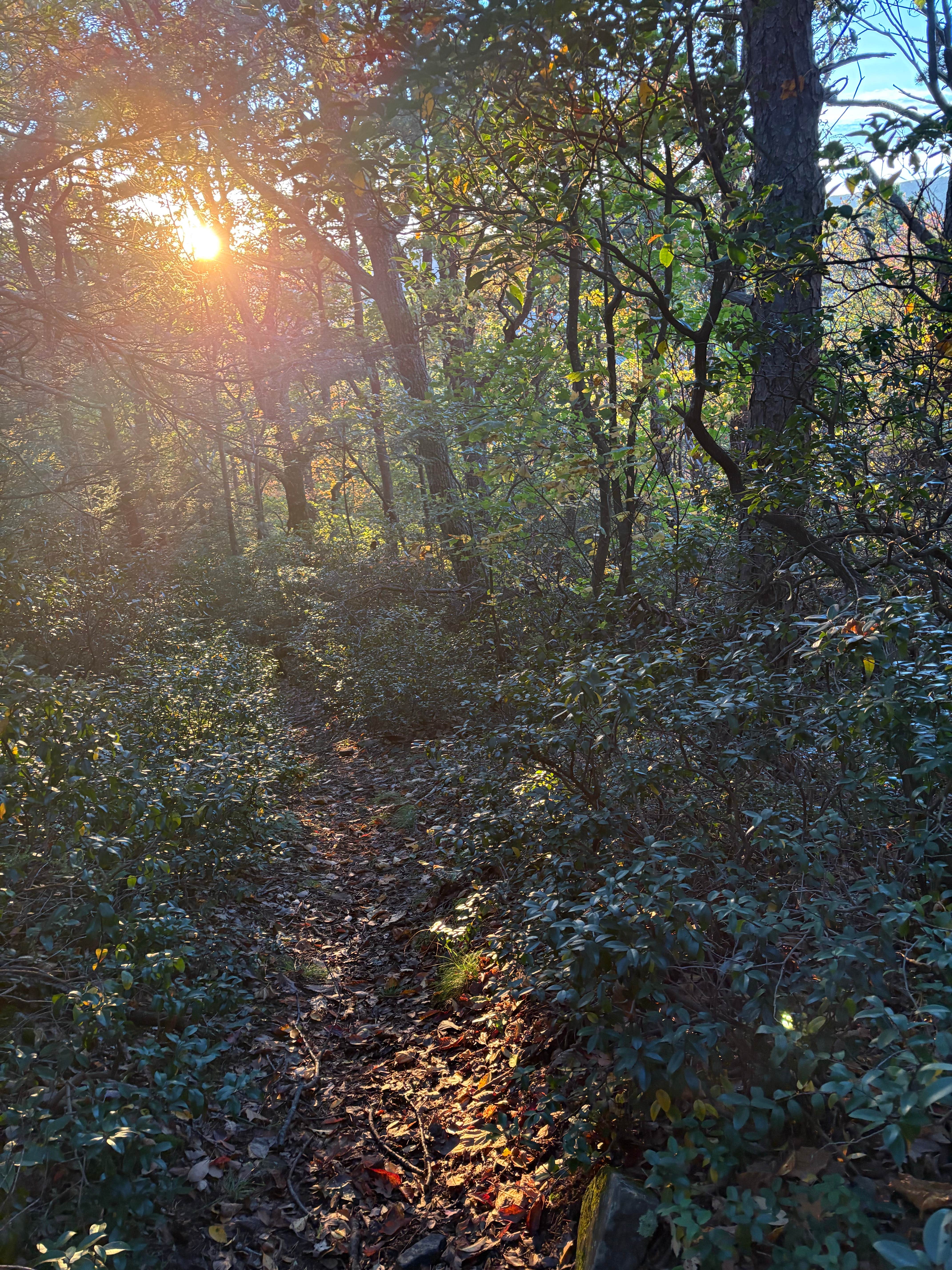 Camper-submitted photo at Hone Quarry near Dayton, VA