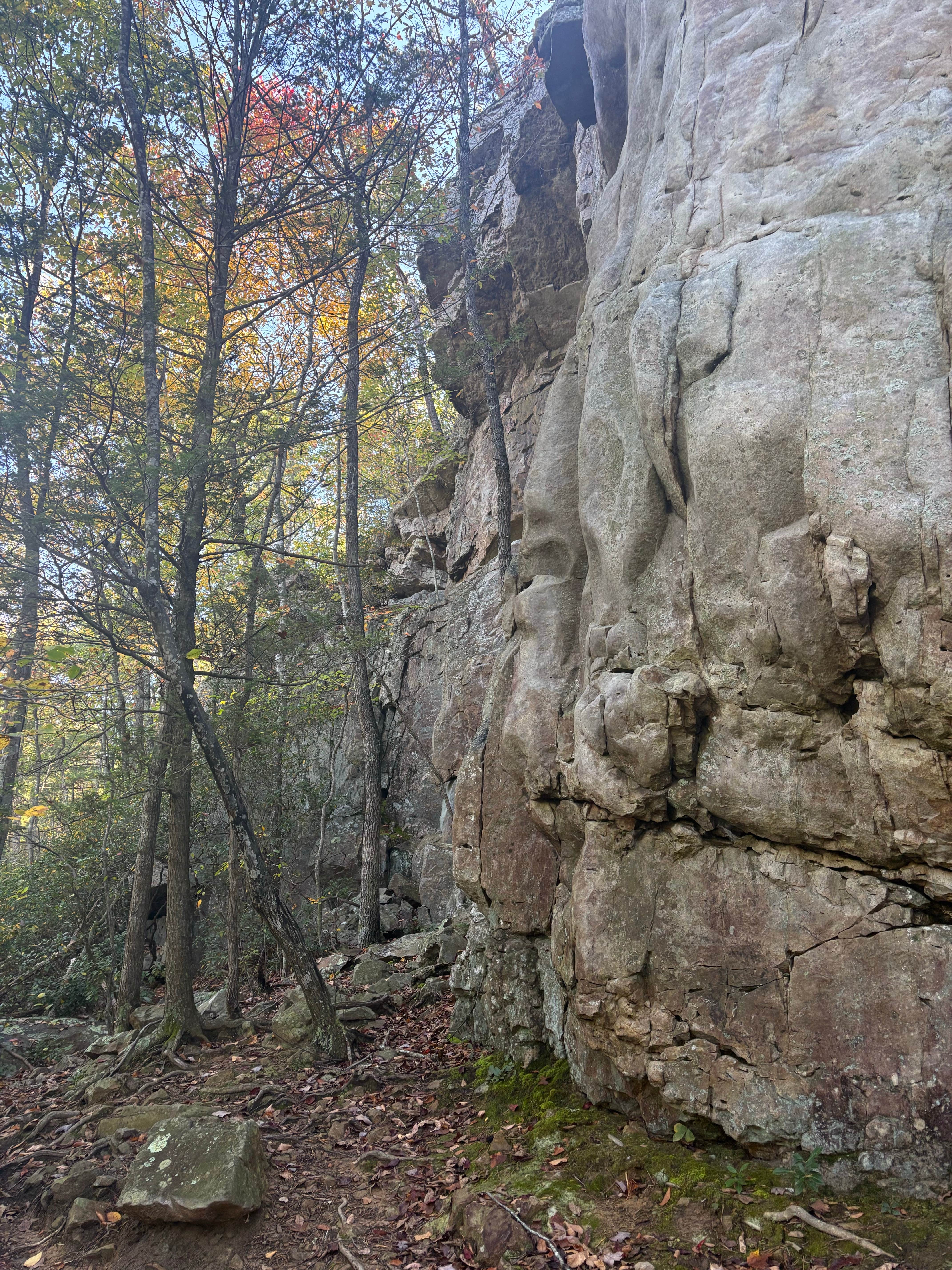 Camper-submitted photo at Hone Quarry near Dayton, VA