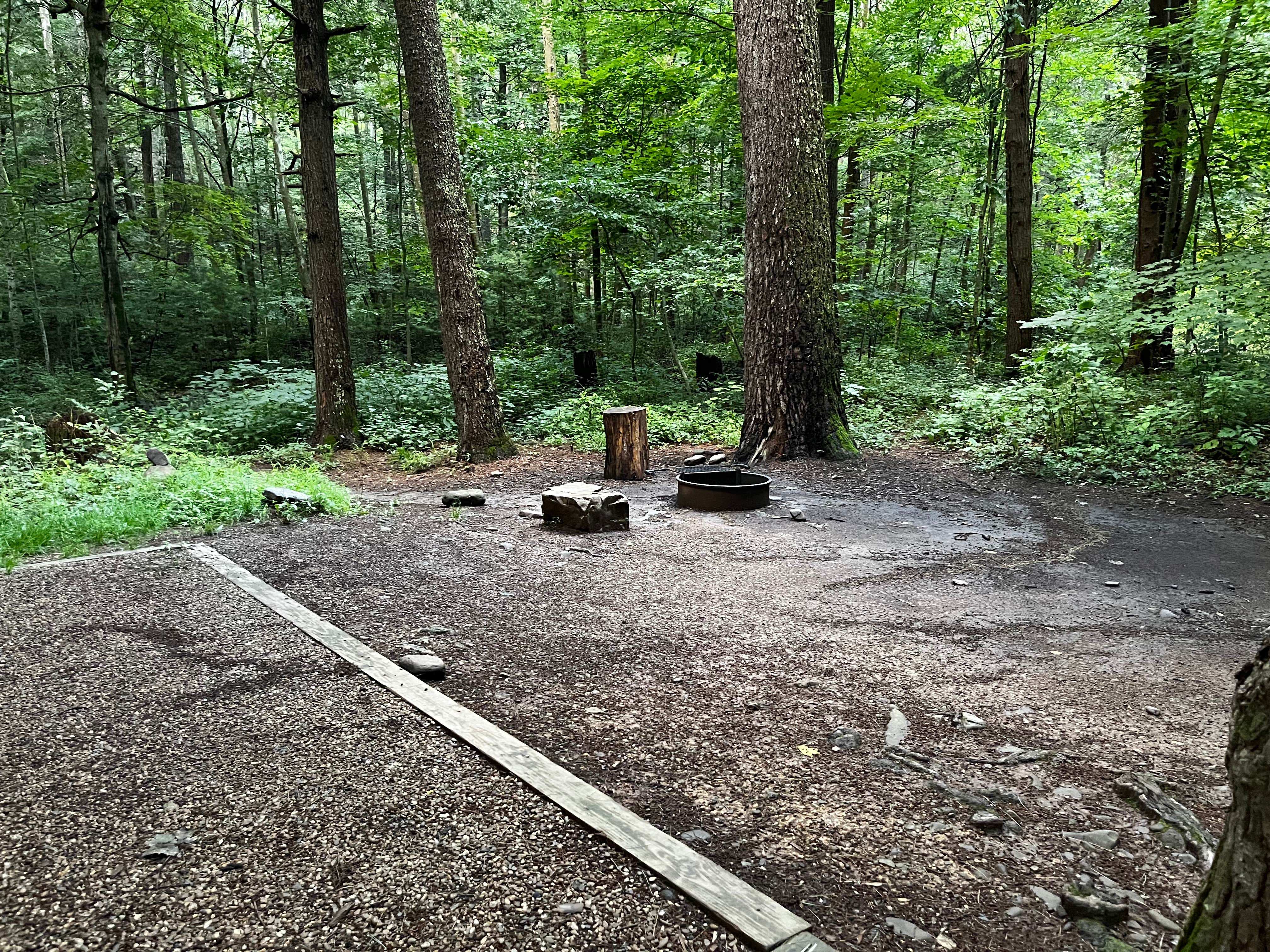 Camper-submitted photo at Hone Quarry near Singers Glen, VA