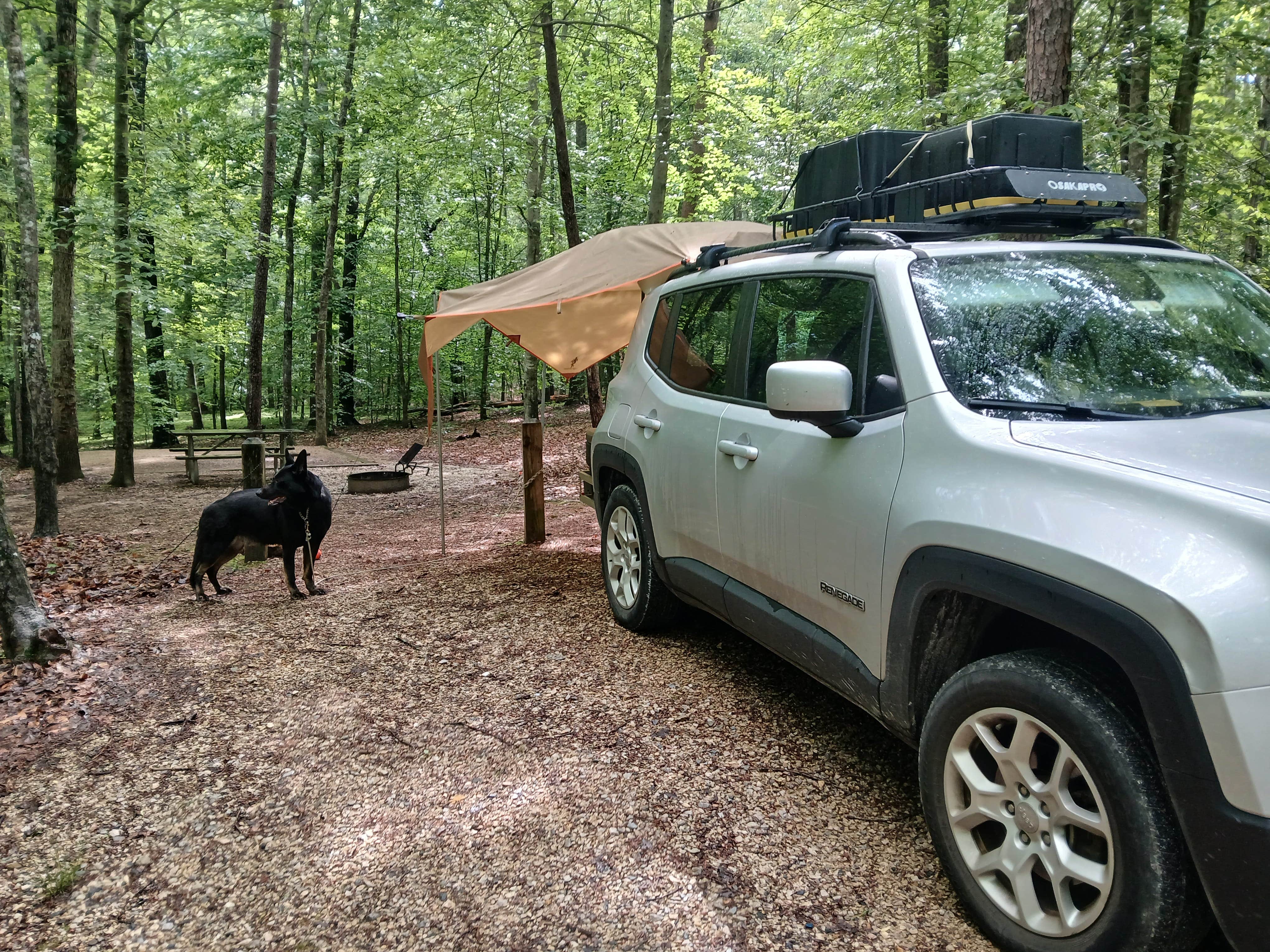 Camper-submitted photo at James River State Park Campground near Vesuvius, VA