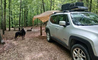 VIRGINIA G.'s photo at James River State Park Campground near Dillwyn, VA
