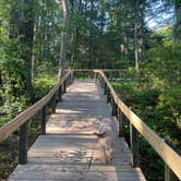 Review photo of Kiptopeke State Park Campground by Madison M., June 6, 2026