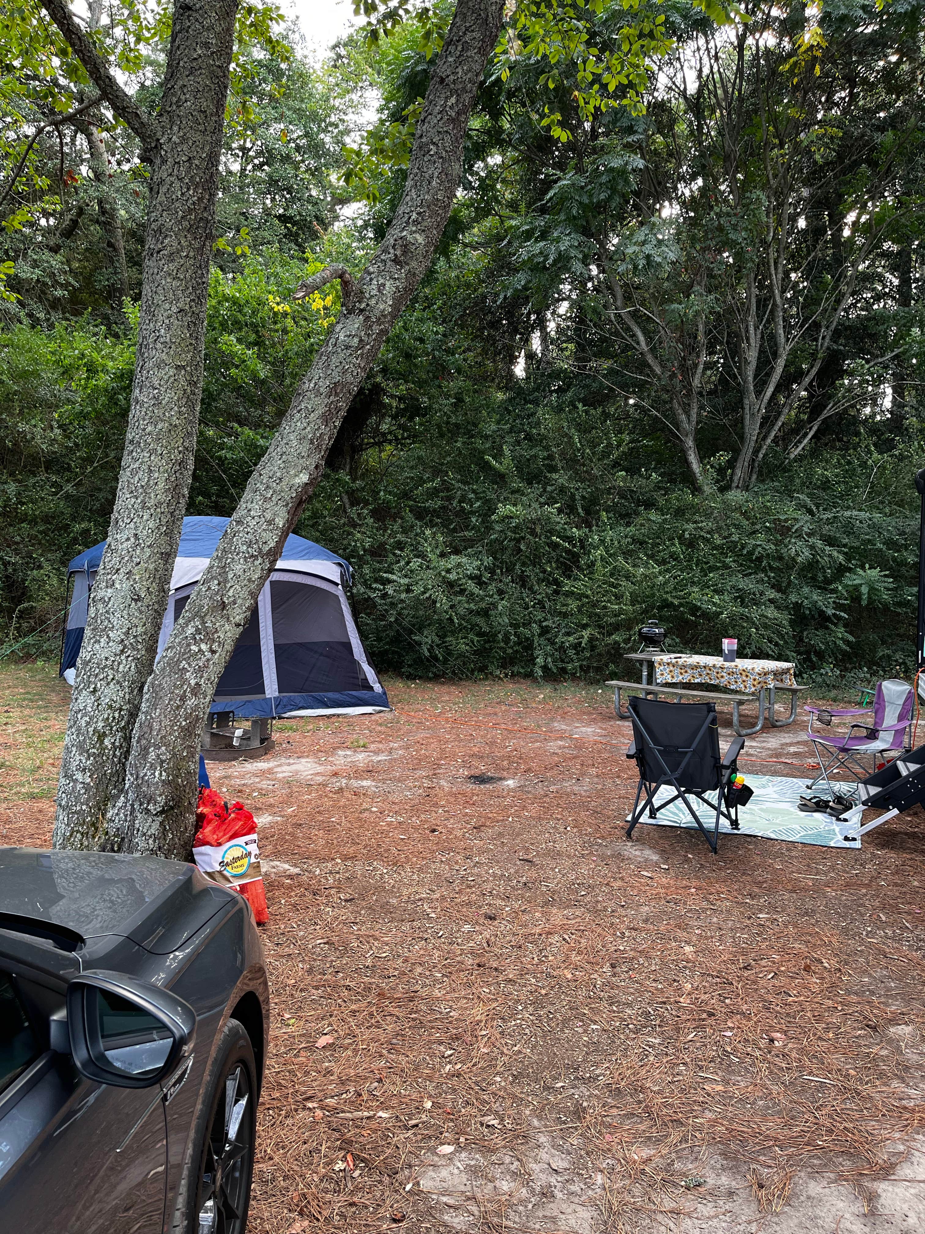 Aaron S.'s photo at Kiptopeke State Park Campground near Cheriton, VA