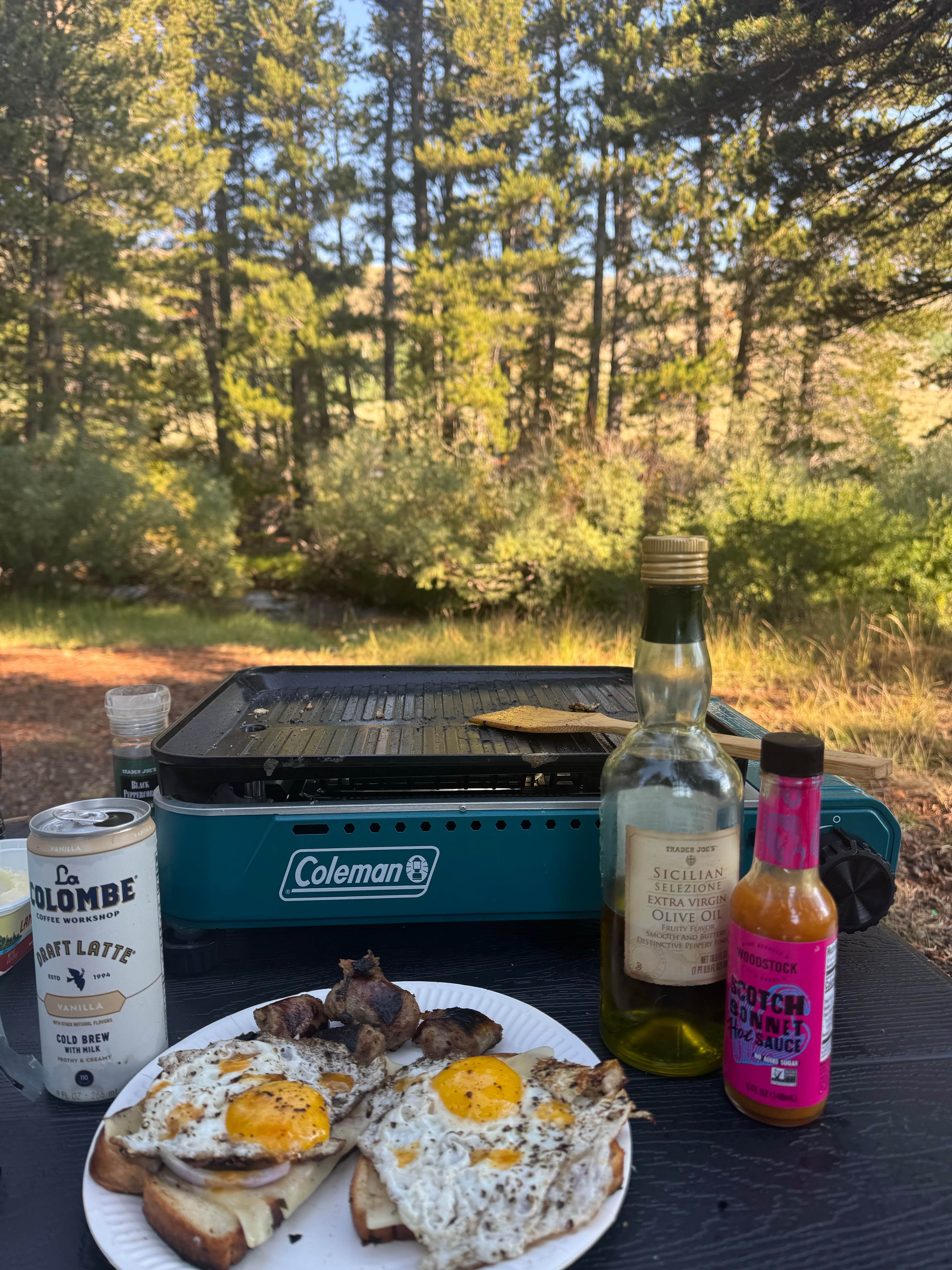 Camper-submitted photo at Virginia Lake Rd. Boondocking near Lee Vining, CA