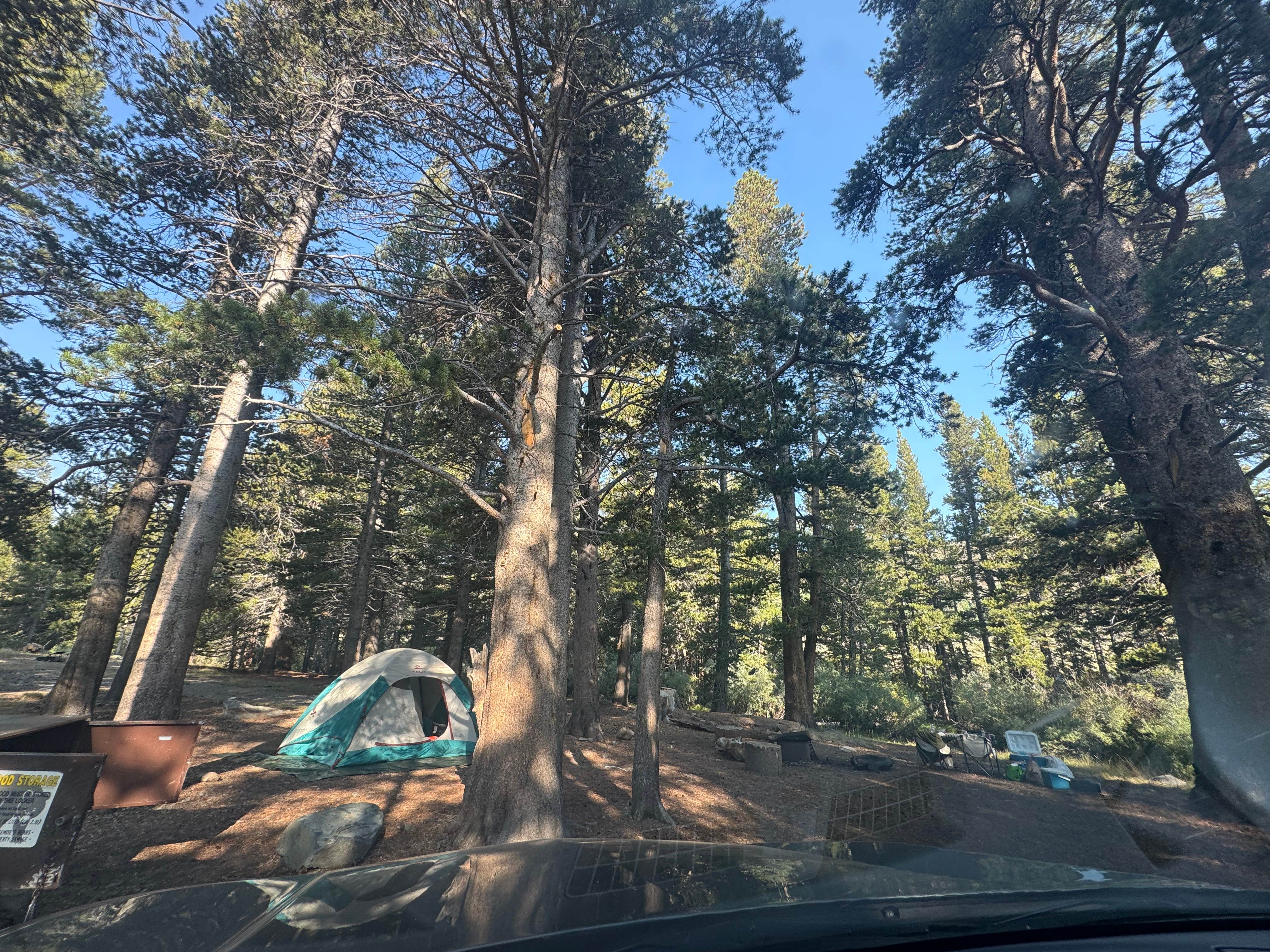 Camping near Travertine Hot Springs: Virginia Lake Rd. Boondocking, Mono City, California