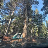 Review photo of Virginia Lake Rd. Boondocking by jake K., September 2, 2025