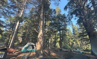 jake K.'s photo at Virginia Lake Rd. Boondocking near Bridgeport, CA