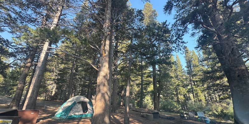 Camper submitted image from Virginia Lake Rd. Boondocking