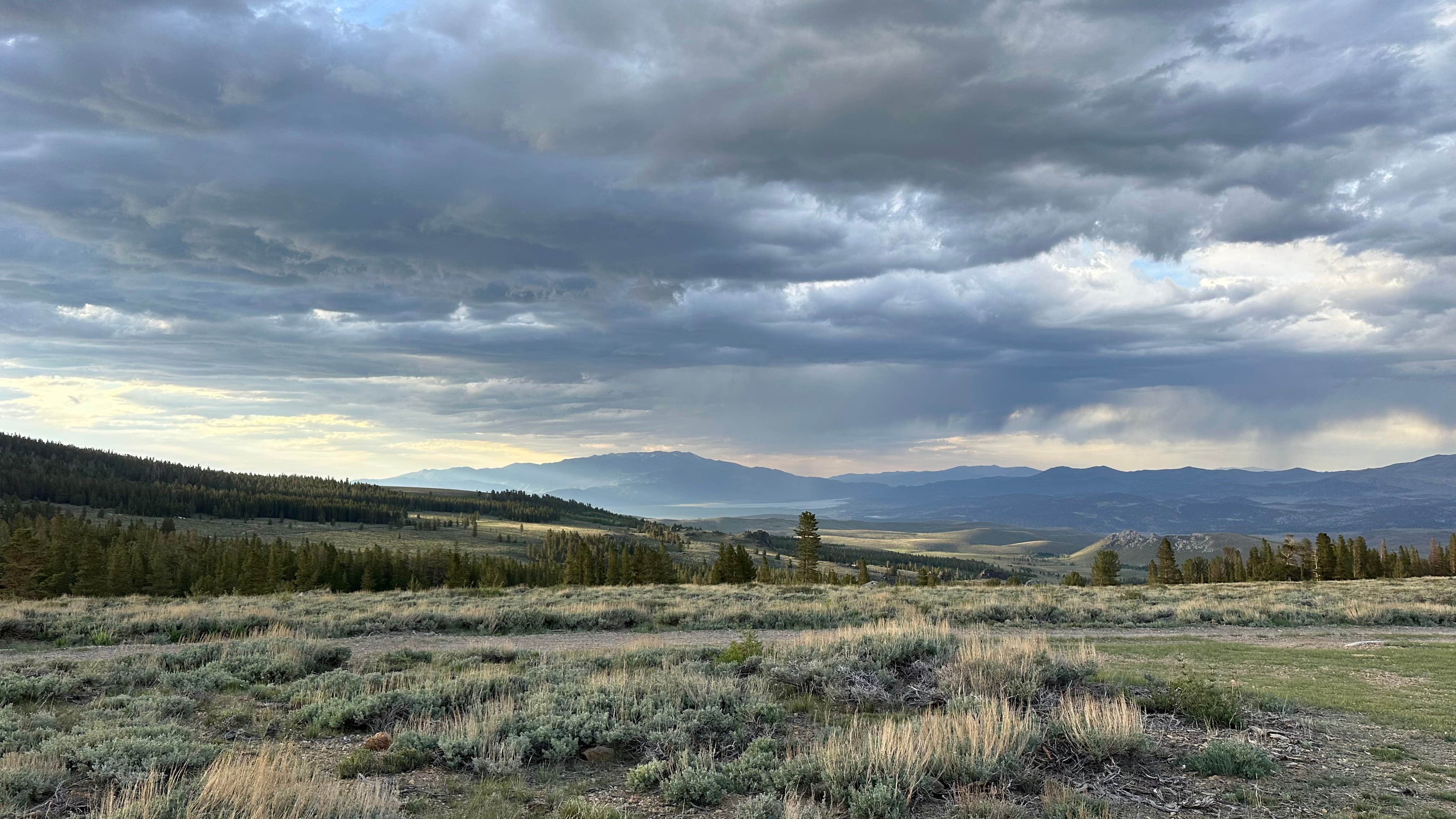 monet K.'s photo of a dispersed camping area at Virginia Lake Rd. Boondocking near Lee Vining, CA