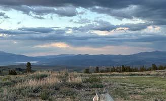 monet K.'s photo of camping with pets at Virginia Lake Rd. Boondocking near Bridgeport, CA