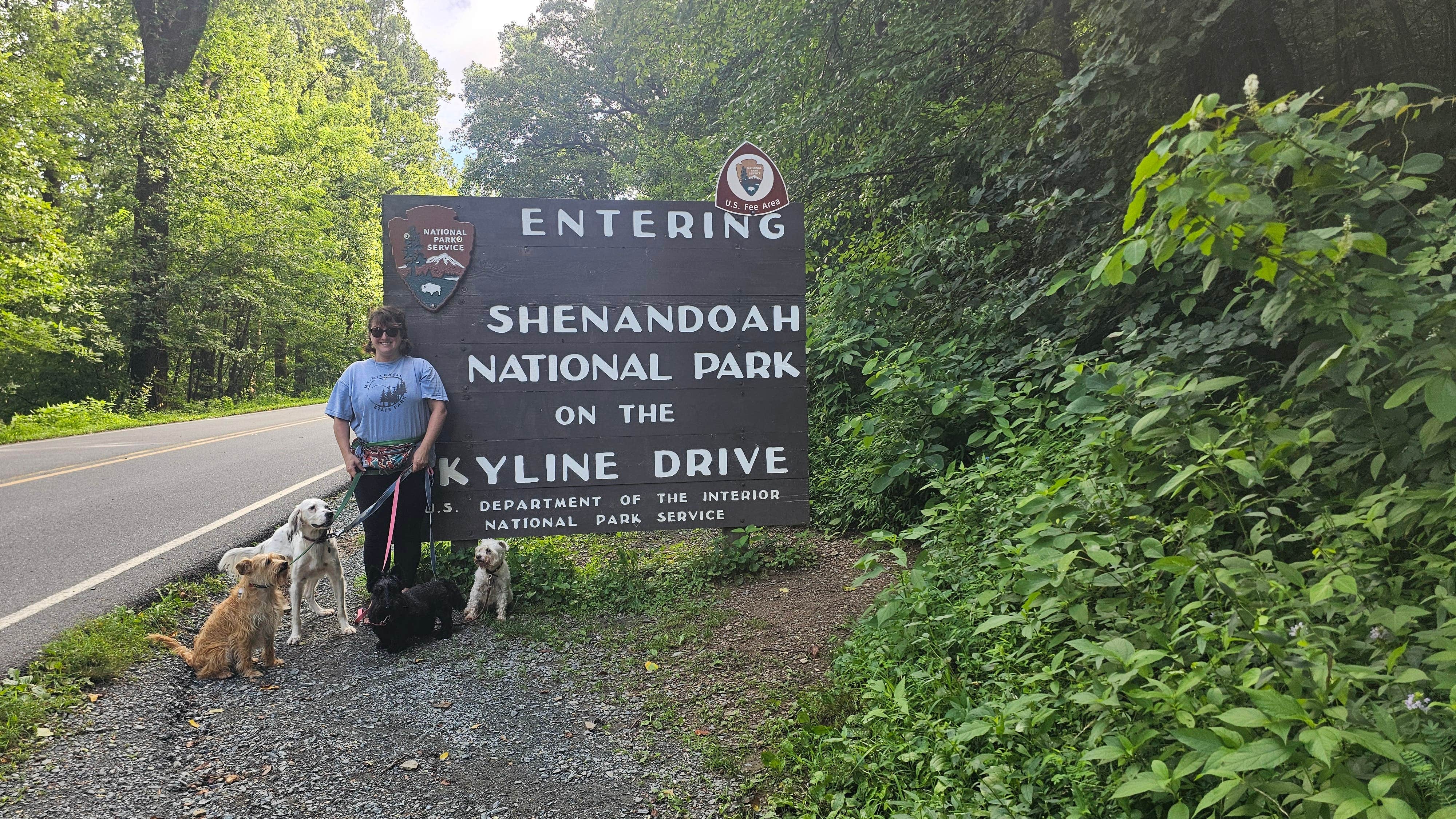 Katrin M.'s photo of camping with pets at Loft Mountain Campground — Shenandoah National Park near Charlottesville, VA