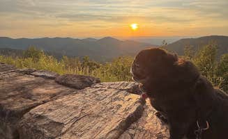 Janet R.'s photo of camping with pets at Loft Mountain Campground — Shenandoah National Park near Afton, VA
