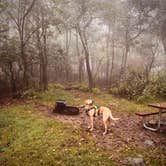 Review photo of Loft Mountain Campground — Shenandoah National Park by Aly E., September 28, 2025