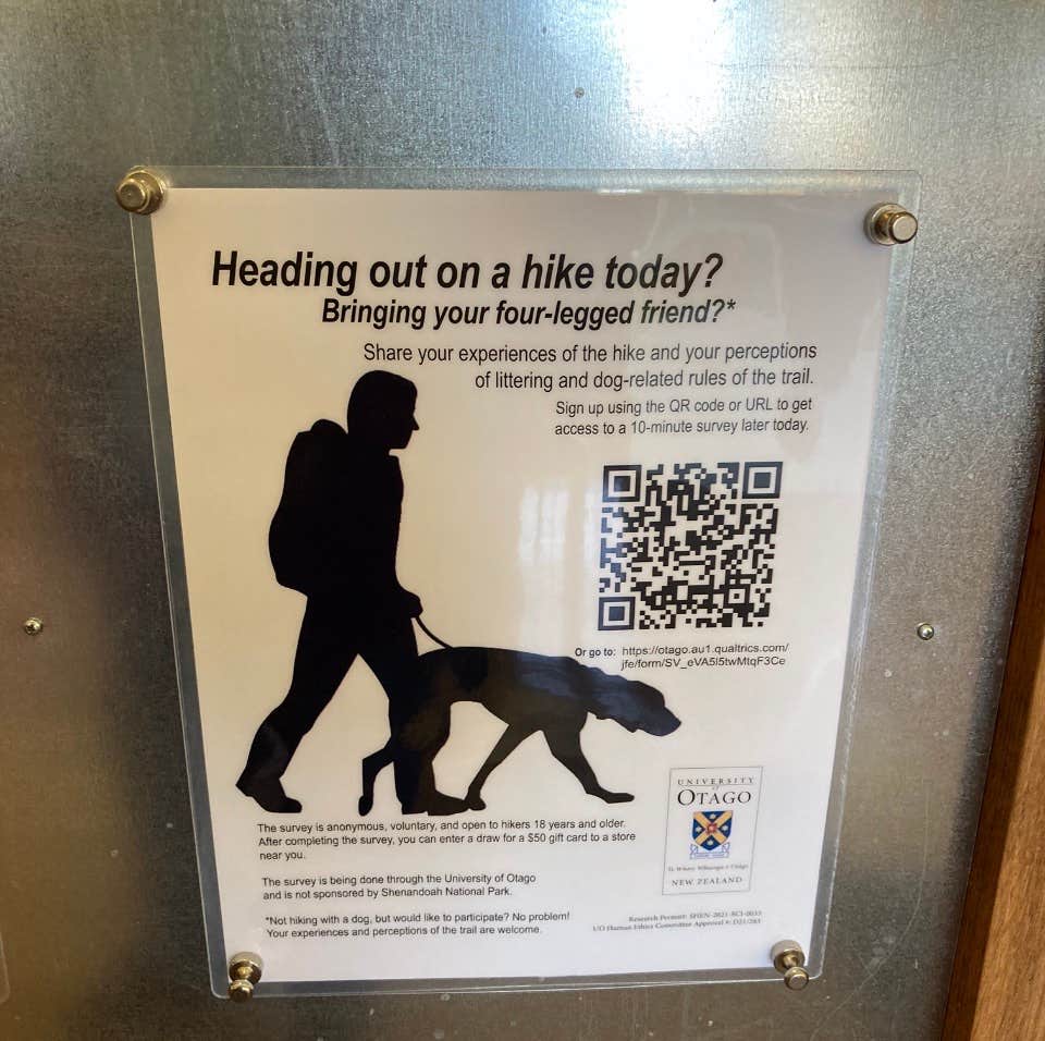 Janet R.'s photo of camping with pets at Loft Mountain Campground — Shenandoah National Park near Harrisonburg, VA