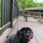 Review photo of Loft Mountain Campground — Shenandoah National Park by Janet R., December 31, 2025