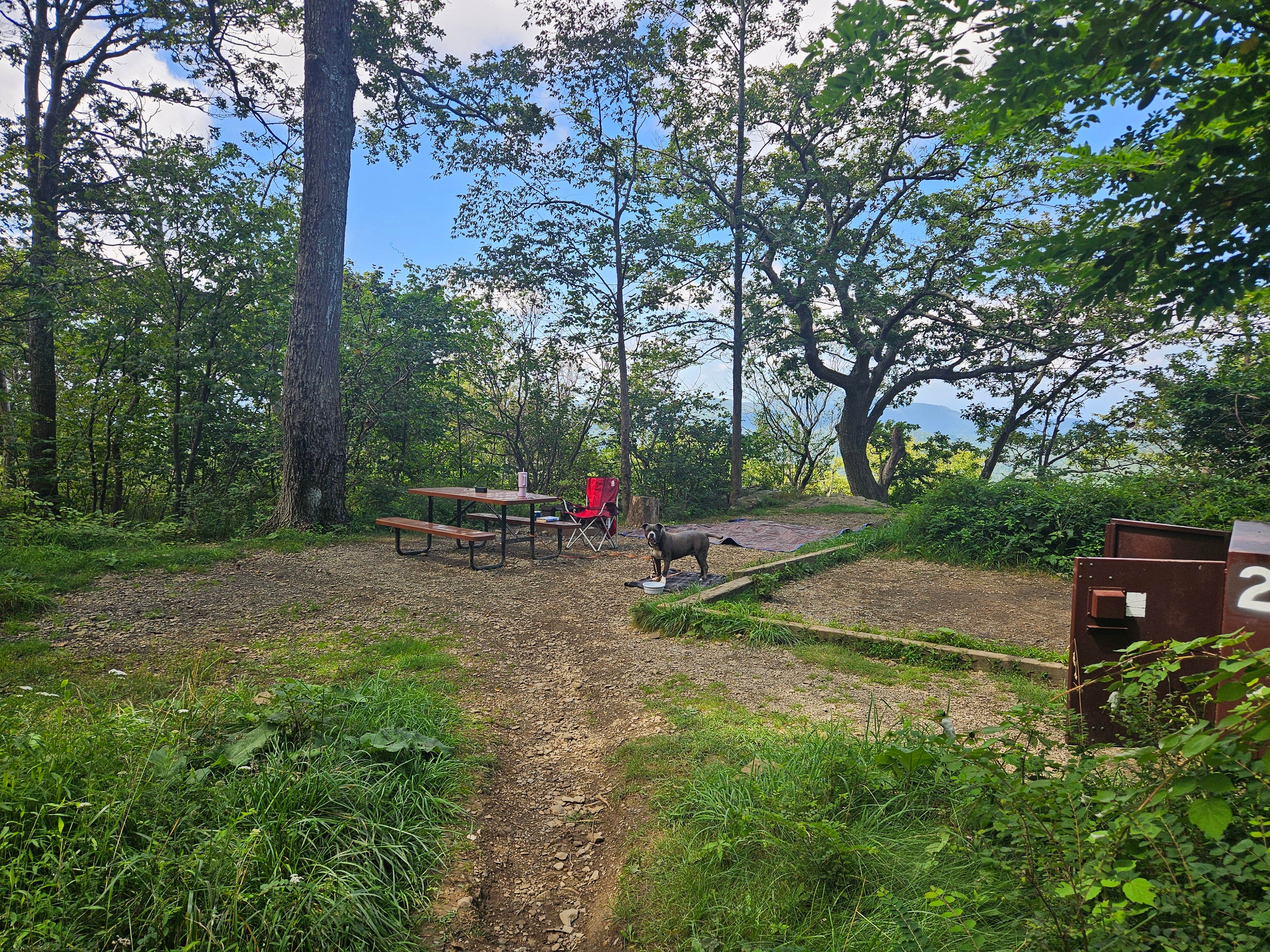 Anna B.'s photo of camping with pets at Loft Mountain Campground — Shenandoah National Park near Madison, VA