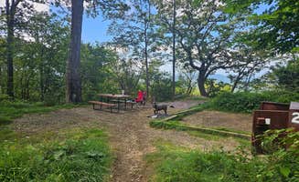Anna B.'s photo of camping with pets at Loft Mountain Campground — Shenandoah National Park near Afton, VA
