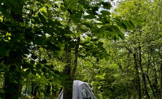 Luz T.'s photo at Loft Mountain Campground — Shenandoah National Park near Madison, VA