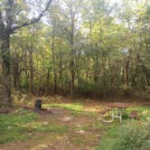 Review photo of Loft Mountain Campground — Shenandoah National Park by Jim M., September 17, 2026