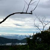 Review photo of Loft Mountain Campground — Shenandoah National Park by Werner S., September 1, 2025