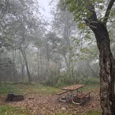 Review photo of Loft Mountain Campground — Shenandoah National Park by Aly E., September 28, 2025