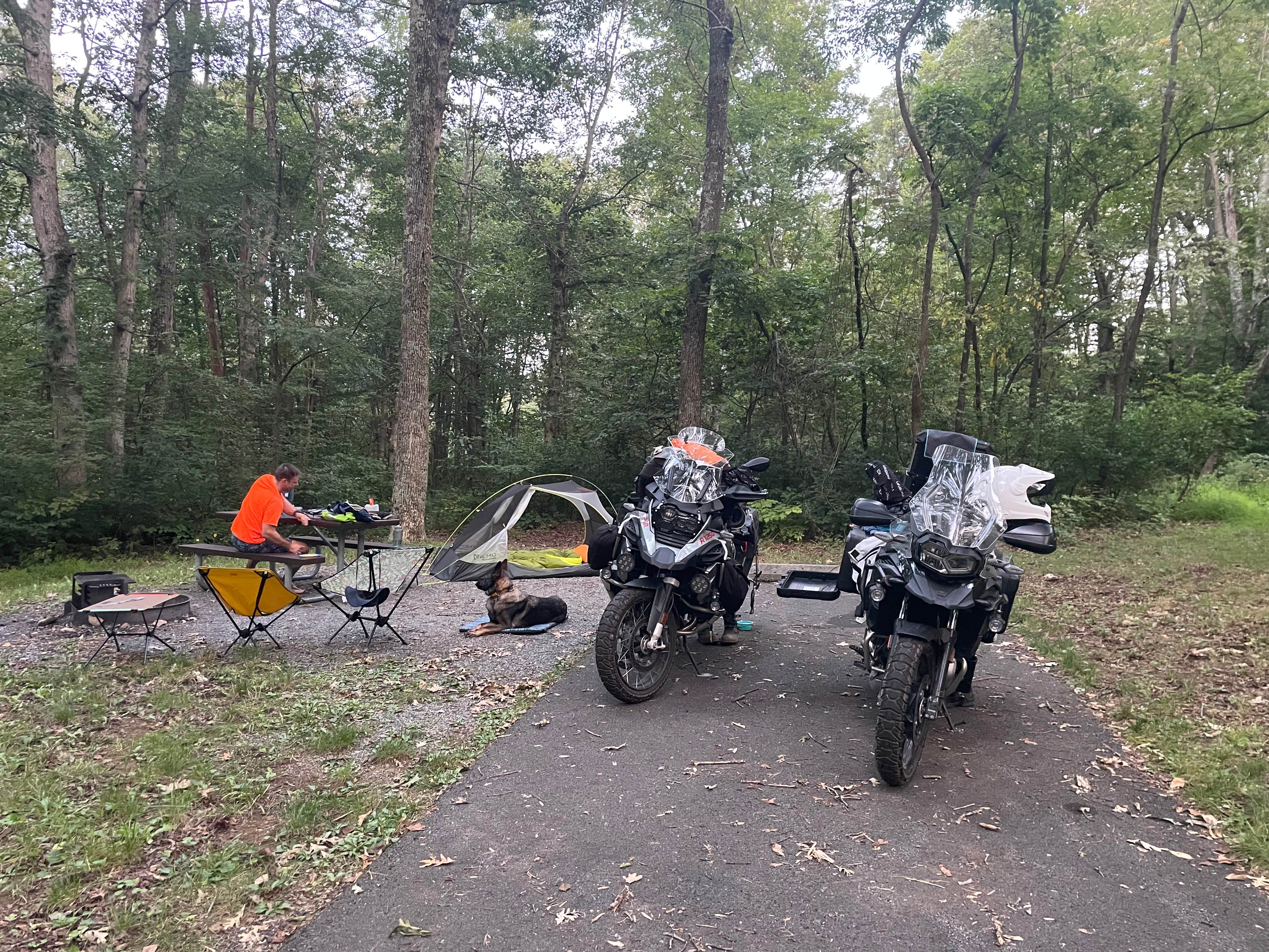 Sarah C.'s photo of camping with pets at Mathews Arm Campground — Shenandoah National Park near Baker, WV