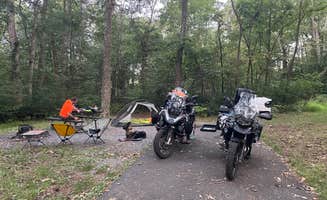 Sarah C.'s photo at Mathews Arm Campground — Shenandoah National Park near Front Royal, VA
