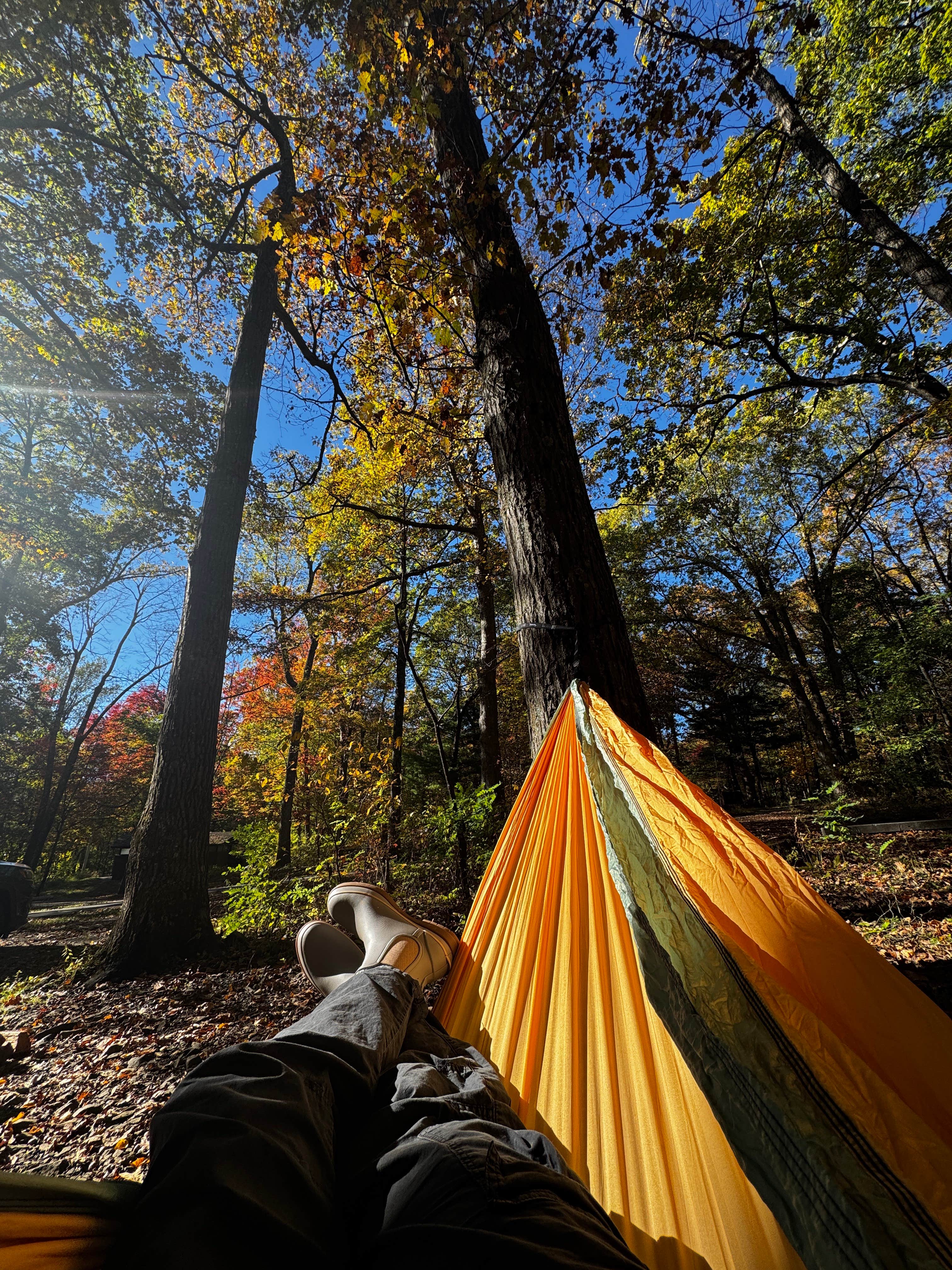 Luz T.'s photo at Mathews Arm Campground — Shenandoah National Park near Sperryville, VA
