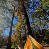 Review photo of Mathews Arm Campground — Shenandoah National Park by Luz T., October 19, 2025