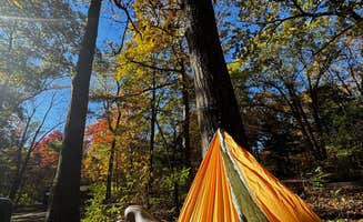 Luz T.'s photo at Mathews Arm Campground — Shenandoah National Park near Marshall, VA