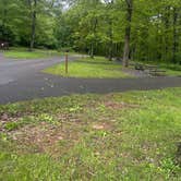 Review photo of Mathews Arm Campground — Shenandoah National Park by Shane T., May 25, 2025