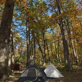 Review photo of Mathews Arm Campground — Shenandoah National Park by Luz T., October 19, 2025