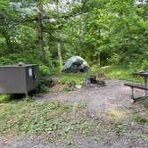Review photo of Mathews Arm Campground — Shenandoah National Park by MG S., June 22, 2026
