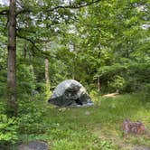 Review photo of Mathews Arm Campground — Shenandoah National Park by MG S., June 22, 2026