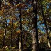 Review photo of Mathews Arm Campground — Shenandoah National Park by Luz T., October 19, 2025