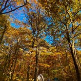 Review photo of Mathews Arm Campground — Shenandoah National Park by Luz T., October 19, 2025