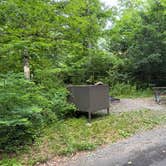 Review photo of Mathews Arm Campground — Shenandoah National Park by MG S., June 22, 2026