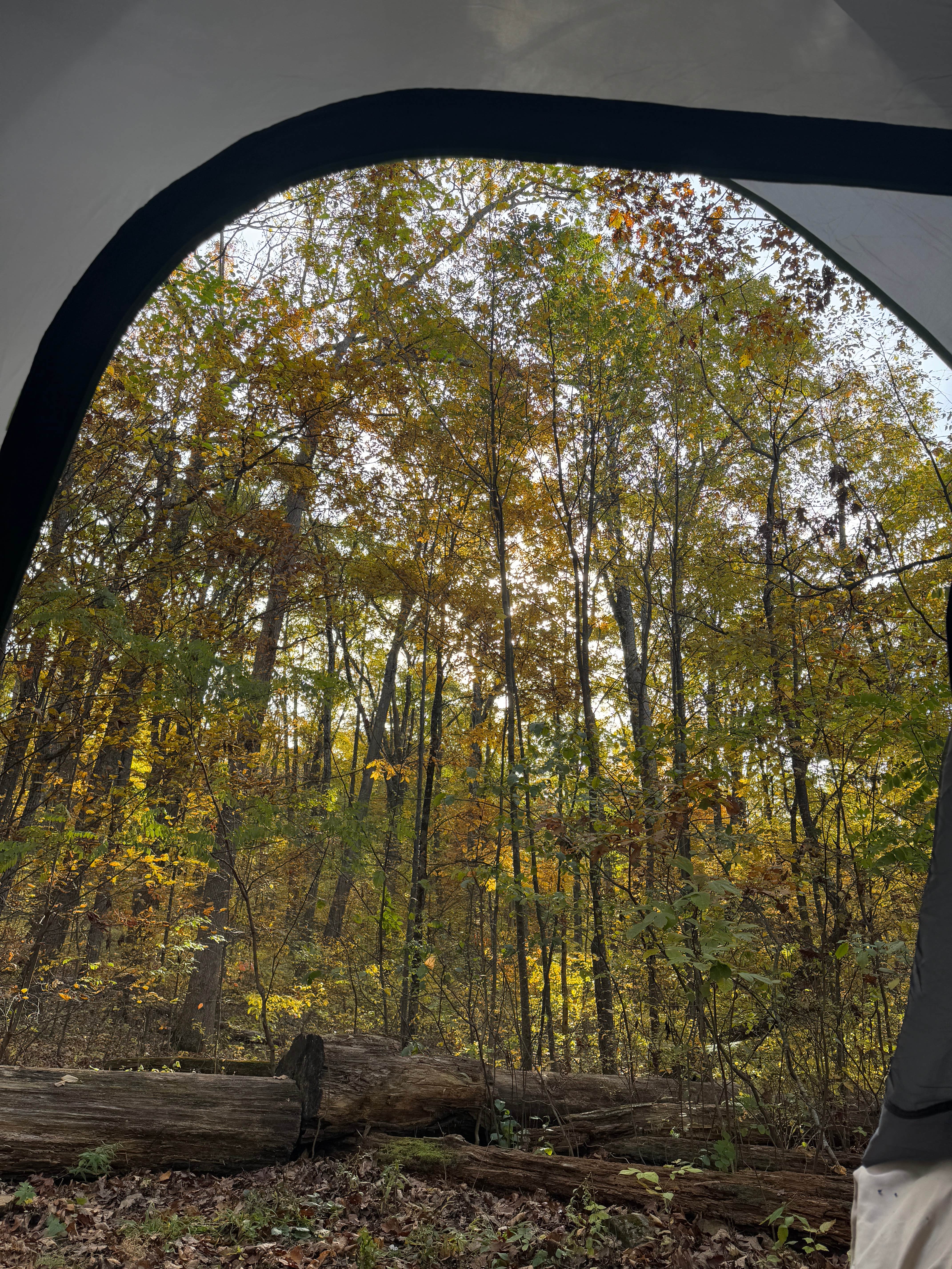 Luz T.'s photo at Mathews Arm Campground — Shenandoah National Park near Bentonville, VA
