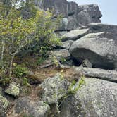 Review photo of Peaks Of Otter Campground — Blue Ridge Parkway by Timothy B., September 1, 2024