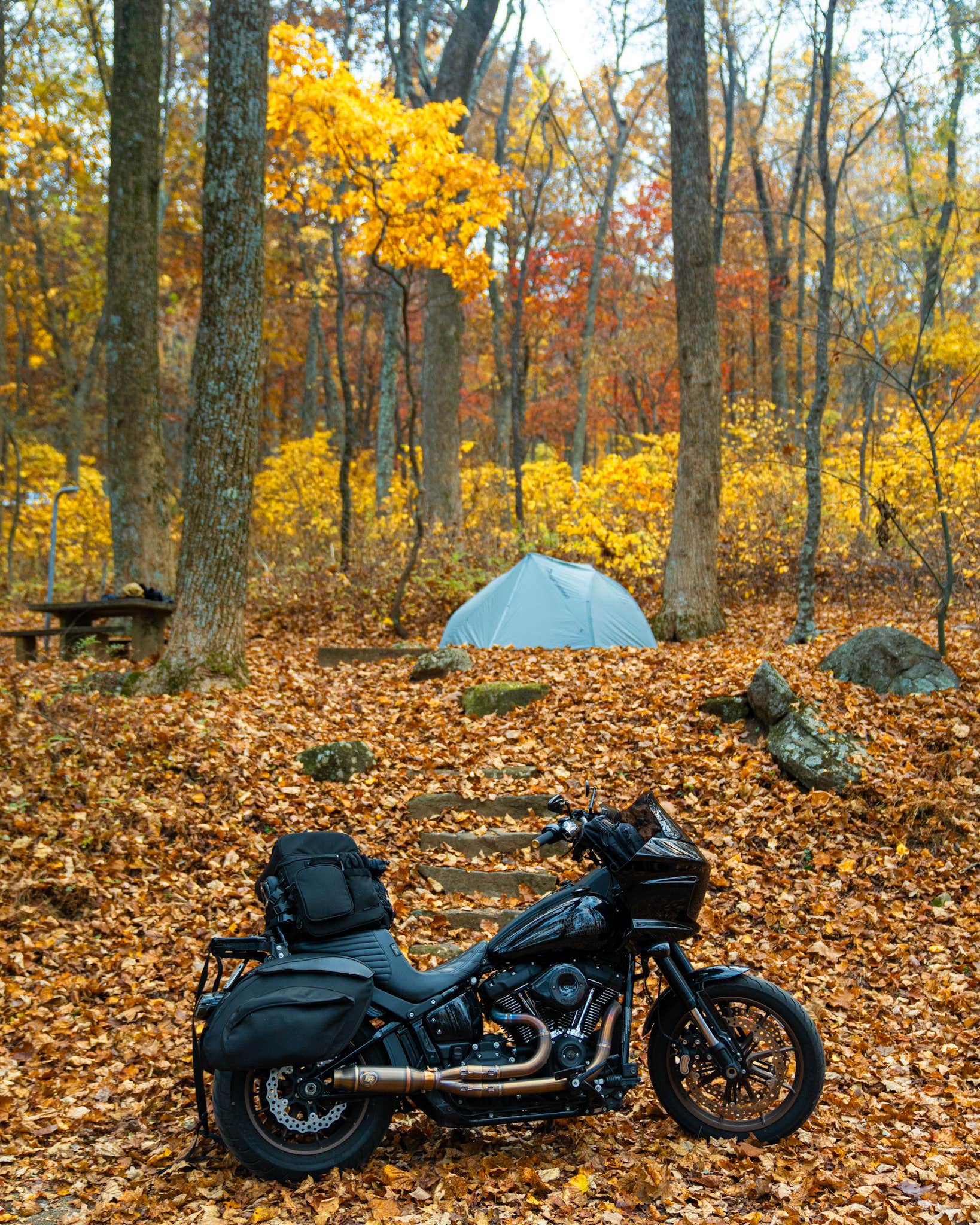 Camper-submitted photo at Peaks Of Otter Campground — Blue Ridge Parkway near Buchanan, VA