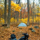 Review photo of Peaks Of Otter Campground — Blue Ridge Parkway by Staci W., November 1, 2023