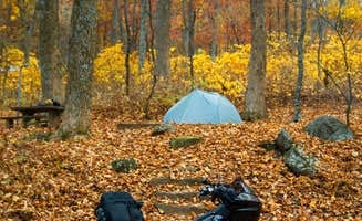 Staci W.'s photo at Peaks Of Otter Campground — Blue Ridge Parkway near Vinton, VA