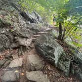 Review photo of Peaks Of Otter Campground — Blue Ridge Parkway by Timothy B., September 1, 2024