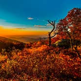 Review photo of Peaks Of Otter Campground — Blue Ridge Parkway by Chaz M., April 29, 2024