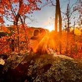 Review photo of Peaks Of Otter Campground — Blue Ridge Parkway by Chaz M., April 29, 2024