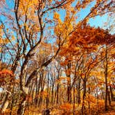 Review photo of Peaks Of Otter Campground — Blue Ridge Parkway by Chaz M., April 29, 2024