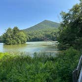 Review photo of Peaks Of Otter Campground — Blue Ridge Parkway by nancy R., July 6, 2025